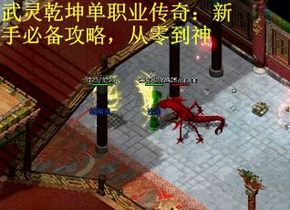 武灵乾坤单职业传奇:新手必备攻略,从零到神 武灵乾坤单职业传奇:新手必备攻略,从零到神