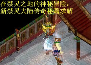 在禁灵之地的神秘冒险：新禁灵大陆传奇秘籍求解