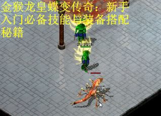 金猴龙皇蝶变传奇:新手入门必备技能与装备搭配秘籍 金猴龙皇蝶变传奇:新手入门必备技能与装备搭配秘籍