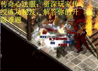 传奇心法服:资深玩家传授练功秘笈,解答你的升级难题 传奇心法服:资深玩家传授练功秘笈,解答你的升级难题