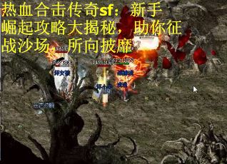 热血合击传奇sf:新手崛起攻略大揭秘,助你征战沙场,所向披靡 热血合击传奇sf:新手崛起攻略大揭秘,助你征战沙场,所向披靡