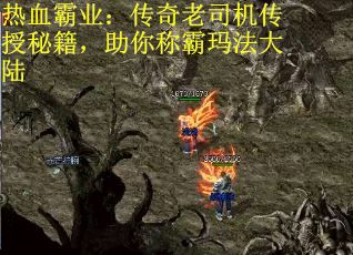 热血霸业：传奇老司机传授秘籍，助你称霸玛法大陆