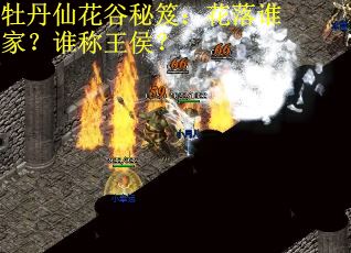 牡丹仙花谷秘笈:花落谁家?谁称王侯? 牡丹仙花谷秘笈:花落谁家?谁称王侯?