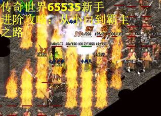 传奇世界65535新手进阶攻略:从小白到霸主之路 传奇世界65535新手进阶攻略:从小白到霸主之路