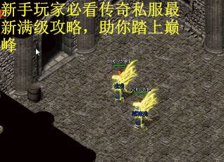 新手玩家必看传奇私服最新满级攻略，助你踏上巅峰