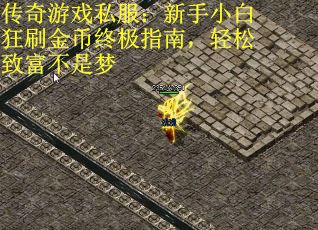 传奇游戏私服:新手小白狂刷金币终极指南,轻松致富不是梦 传奇游戏私服:新手小白狂刷金币终极指南,轻松致富不是梦