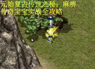 元始复古传世之秘：麻痹传奇宝宝实战全攻略