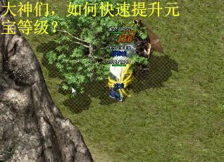 大神们，如何快速提升元宝等级？