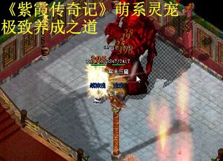 《紫霞传奇记》萌系灵宠极致养成之道