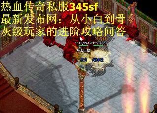 热血传奇私服345sf最新发布网:从小白到骨灰级玩家的进阶攻略问答 热血传奇私服345sf最新发布网:从小白到骨灰级玩家的进阶攻略问答