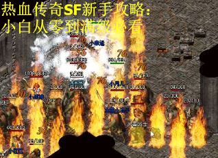 热血传奇SF新手攻略:小白从零到满级必看 热血传奇SF新手攻略:小白从零到满级必看