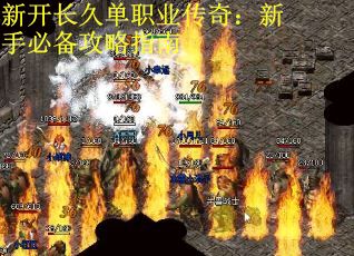 新开长久单职业传奇：新手必备攻略指南