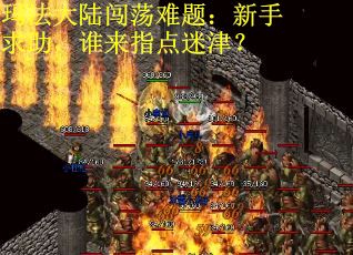 玛法大陆闯荡难题：新手求助，谁来指点迷津？