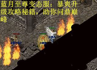 蓝月至尊变态服:暴爽升级攻略秘籍,助你问鼎巅峰 蓝月至尊变态服:暴爽升级攻略秘籍,助你问鼎巅峰