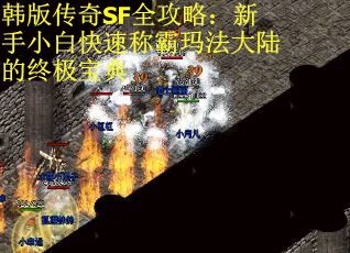 韩版传奇SF全攻略：新手小白快速称霸玛法大陆的终极宝典