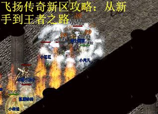 飞扬传奇新区攻略:从新手到王者之路 飞扬传奇新区攻略:从新手到王者之路