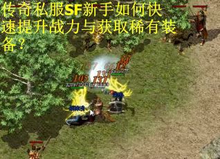 传奇私服SF新手如何快速提升战力与获取稀有装备？