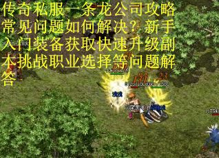 传奇私服一条龙公司攻略常见问题如何解决？新手入门装备获取快速升级副本挑战职业选择等问题解答