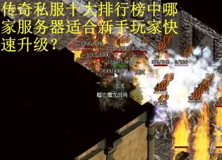 传奇私服十大排行榜中哪家服务器适合新手玩家快速升级？