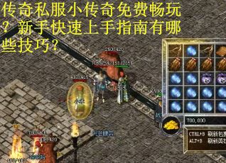 传奇私服小传奇免费畅玩？新手快速上手指南有哪些技巧？