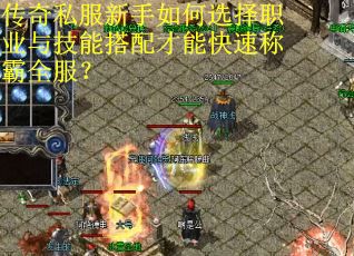 传奇私服新手如何选择职业与技能搭配才能快速称霸全服？
