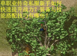 单职业传奇私服新手如何快速提升战力？装备与技能搭配技巧有哪些？