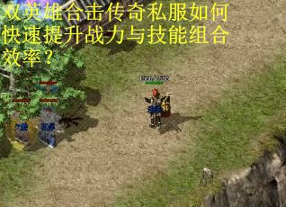 双英雄合击传奇私服如何快速提升战力与技能组合效率? 双英雄合击传奇私服如何快速提升战力与技能组合效率?