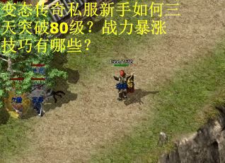 变态传奇私服新手如何三天突破80级？战力暴涨技巧有哪些？