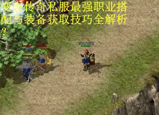 变态传奇私服最强职业搭配与装备获取技巧全解析? 变态传奇私服最强职业搭配与装备获取技巧全解析?