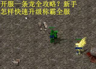 开服一条龙全攻略？新手怎样快速升级称霸全服