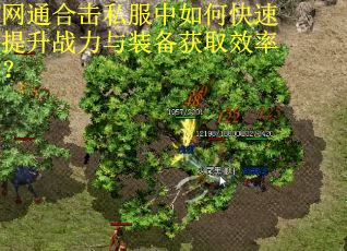 网通合击私服中如何快速提升战力与装备获取效率？