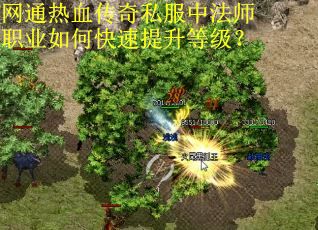网通热血传奇私服中法师职业如何快速提升等级？