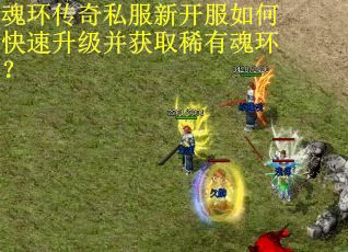 魂环传奇私服新开服如何快速升级并获取稀有魂环？