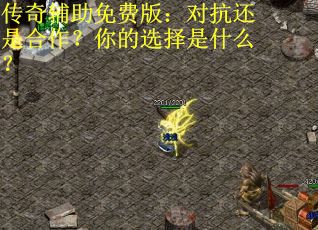 传奇辅助免费版：对抗还是合作？你的选择是什么？