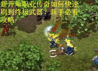 新开单职业传奇如何快速刷到终极武器？新手必看攻略