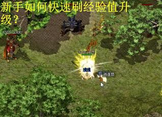 新手如何快速刷经验值升级？