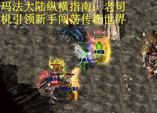 玛法大陆纵横指南:老司机引领新手闯荡传奇世界 玛法大陆纵横指南:老司机引领新手闯荡传奇世界