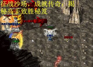 征战沙场，成就传奇：揭秘高手致胜秘笈