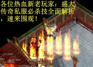 各位热血新老玩家：盛大传奇私服必杀技全面解析，速来围观！