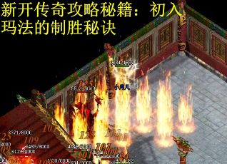 新开传奇攻略秘籍：初入玛法的制胜秘诀