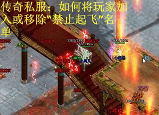 传奇私服：如何将玩家加入或移除“禁止起飞”名单