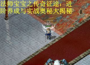 法师宝宝之传奇征途:进阶养成与实战奥秘大揭秘 法师宝宝之传奇征途:进阶养成与实战奥秘大揭秘