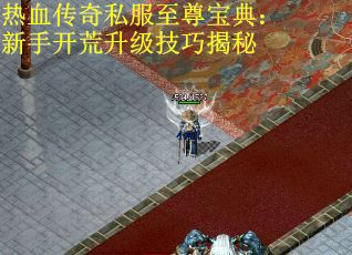 热血传奇私服至尊宝典:新手开荒升级技巧揭秘 热血传奇私服至尊宝典:新手开荒升级技巧揭秘