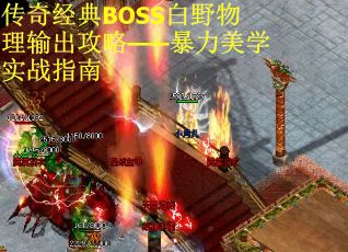 传奇经典BOSS白野物理输出攻略——暴力美学实战指南 传奇经典BOSS白野物理输出攻略——暴力美学实战指南