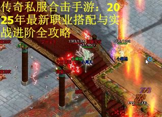 传奇私服合击手游：2025年最新职业搭配与实战进阶全攻略