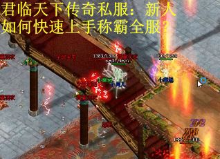 君临天下传奇私服：新人如何快速上手称霸全服？