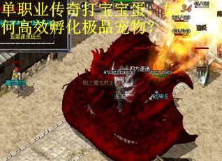 单职业传奇打宝宝蛋，如何高效孵化极品宠物？