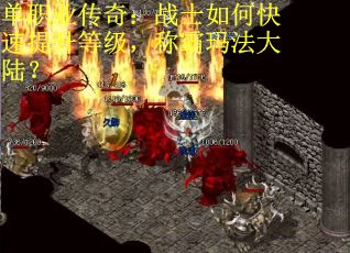 单职业传奇：战士如何快速提升等级，称霸玛法大陆？