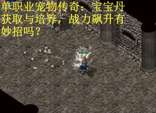 单职业宠物传奇：宝宝丹获取与培养，战力飙升有妙招吗？