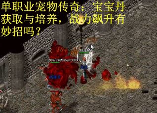 单职业宠物传奇：宝宝丹获取与培养，战力飙升有妙招吗？